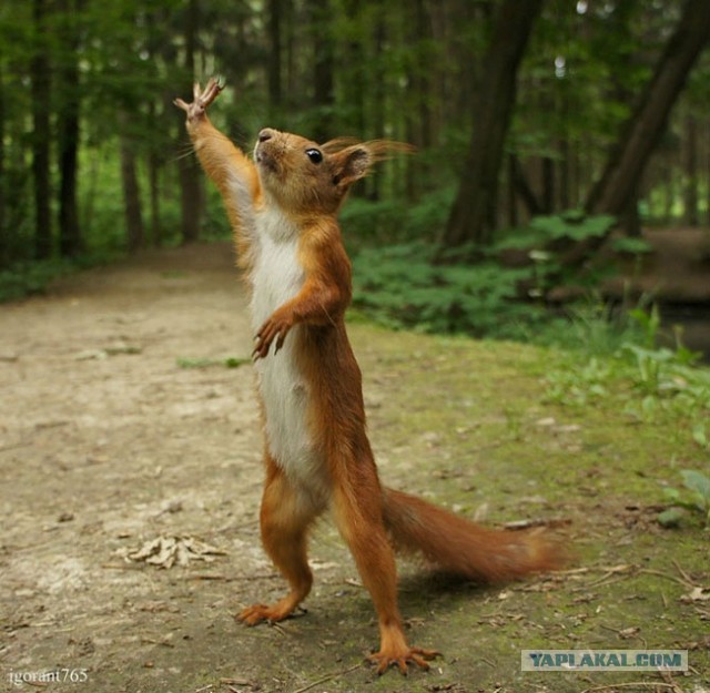 9 признаков того, что у тебя ПАРАНОЙЯ