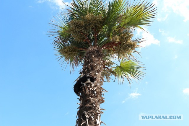 Крым: Судак и окрестности