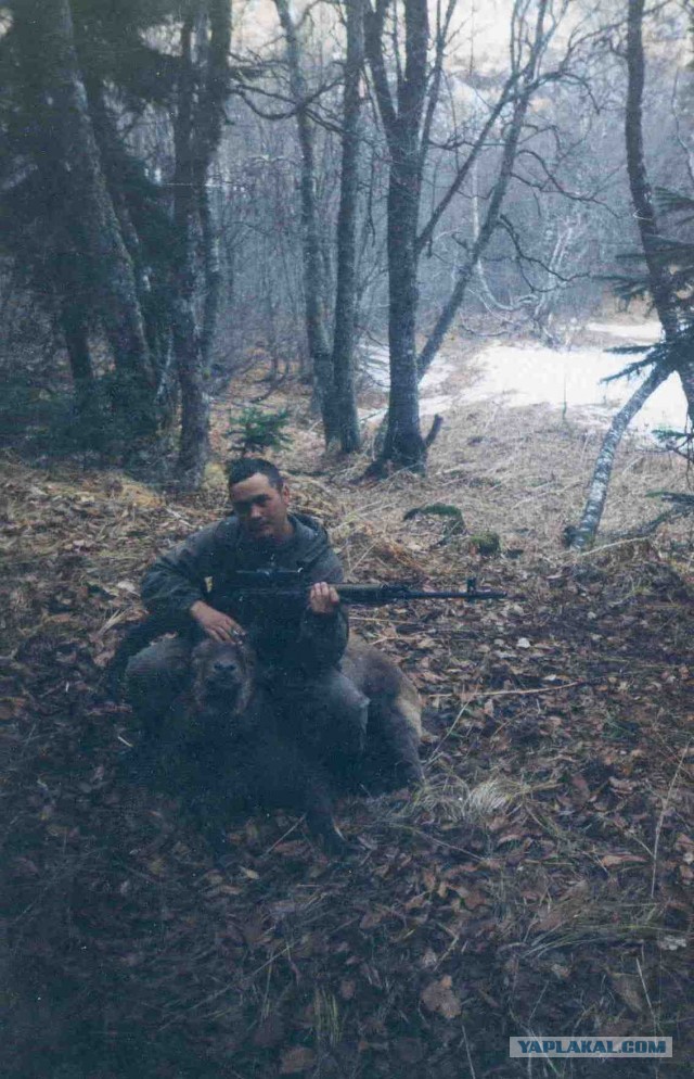 Житель Якутии зарезал медведя ножом
