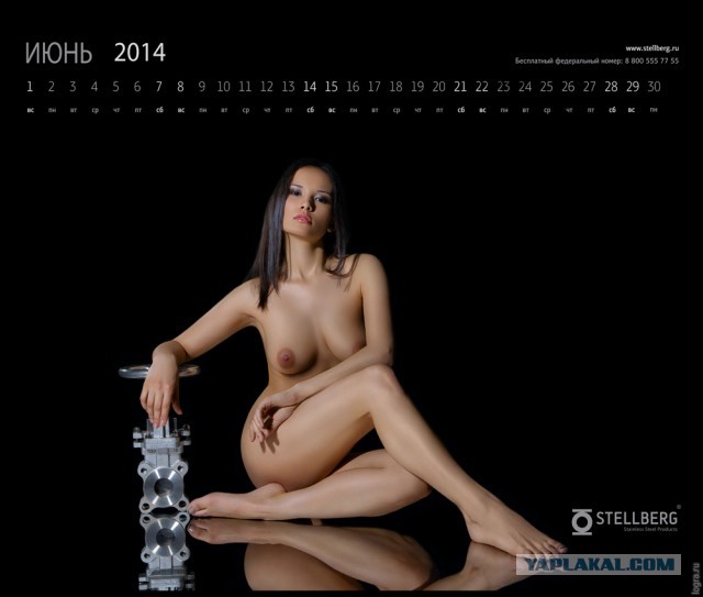Календарь 2014 от Стэллберг