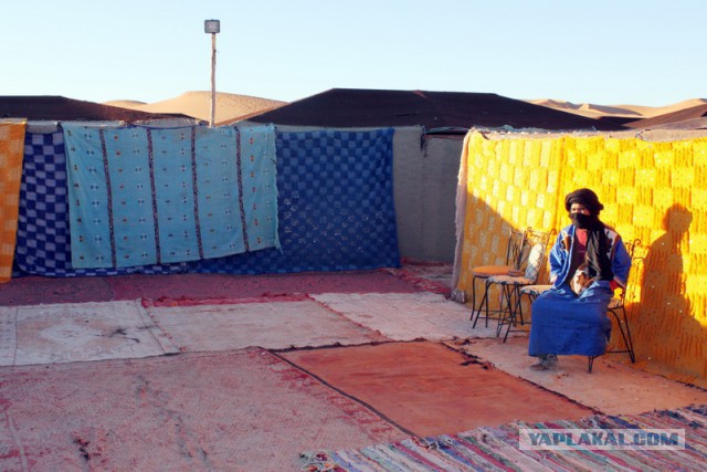 Новогодняя ночь в пустыне Сахара