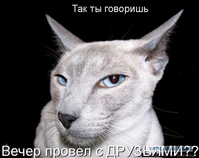 Фотки из интернета.
