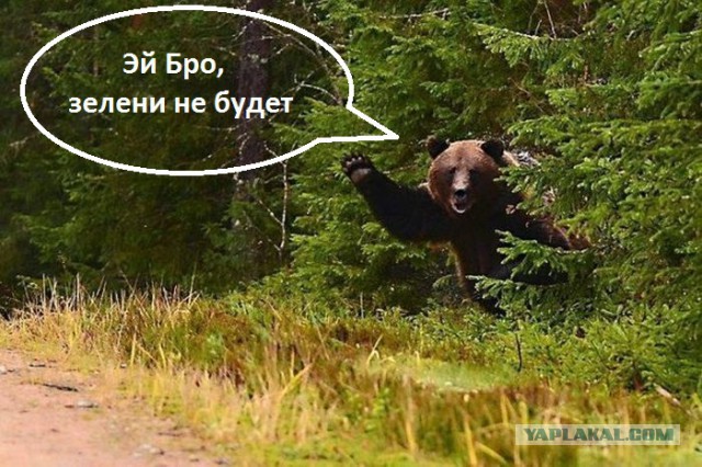 Добряки, плюсующие всех подряд