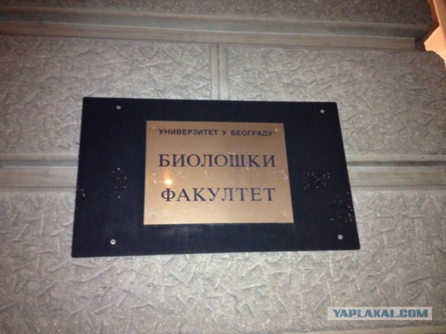Как я открыл для себя Сербию и Черногорию