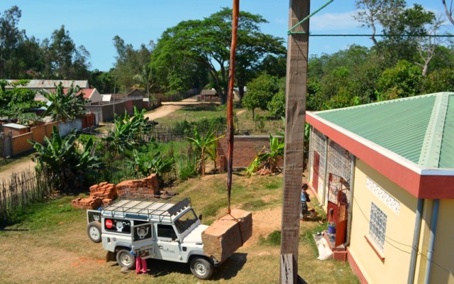 Хрен моржовый