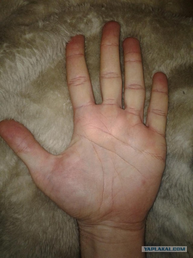Исследую Хиромантию