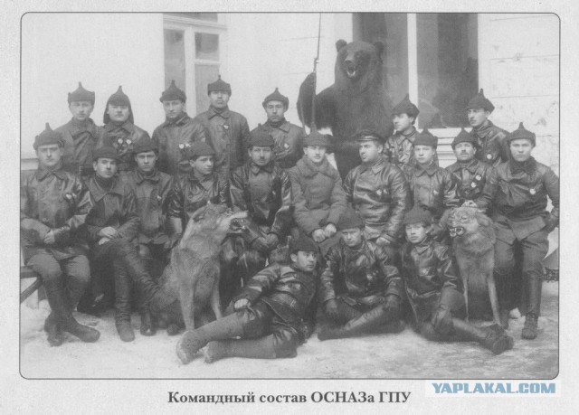 Про ряженых патриотов на мопедах