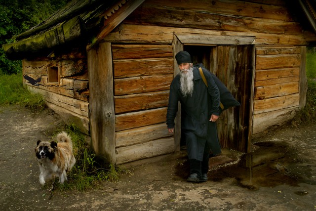 Норвежский лесной