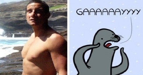 Тюлень не только обзывалистый