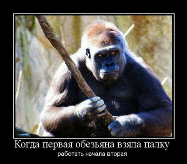 За тунеядство введут уголовную ответственность