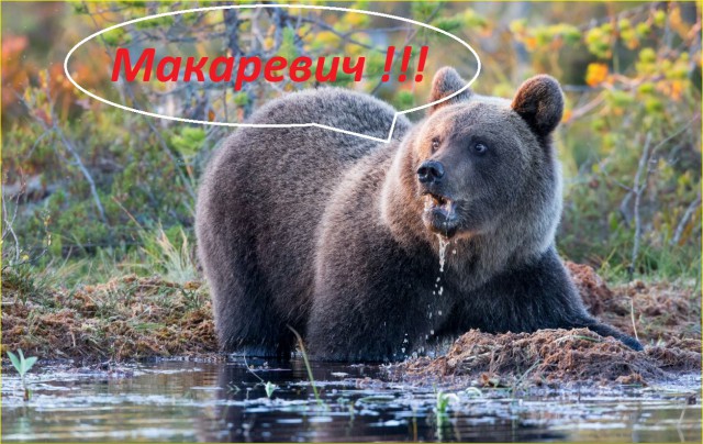 Макаревич опять отжог