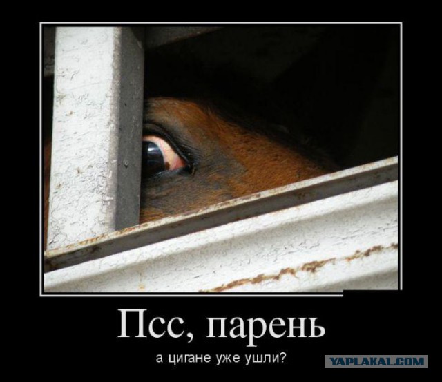 Демотиваторы на Субботу