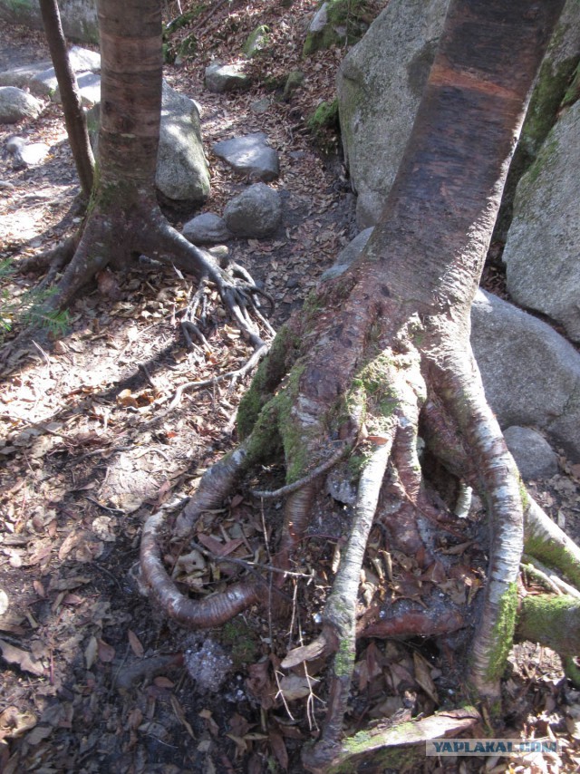 Деревенская Америка