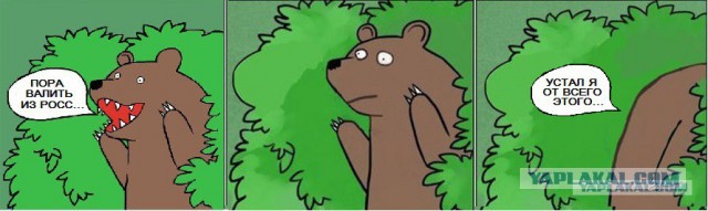 Кризис экономики или мозгов?