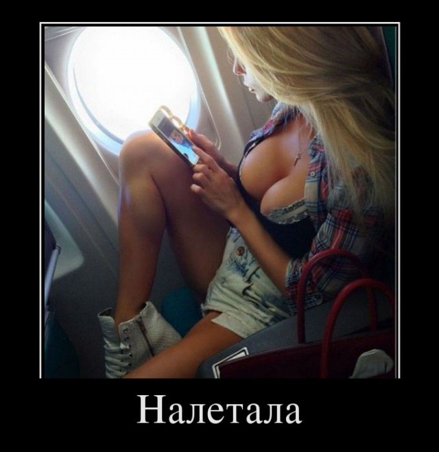 Демы без Темы