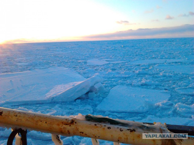 Пахари моря