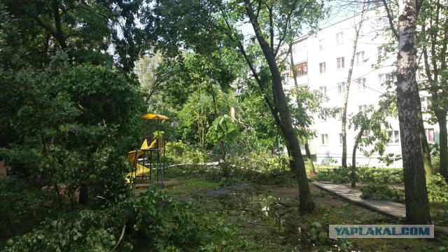 В Минске прошел самый сильный ливень за несколько лет