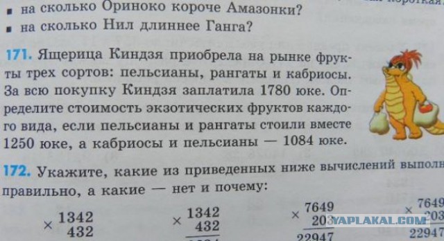 20 маразмов из современных учебников, которые способны сломать мозг