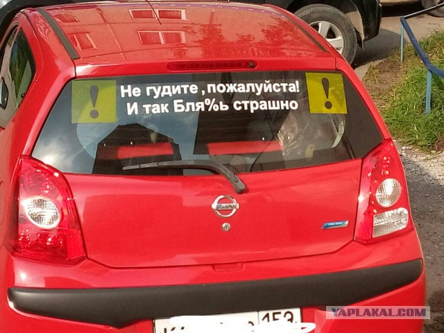 Весёлые картинки