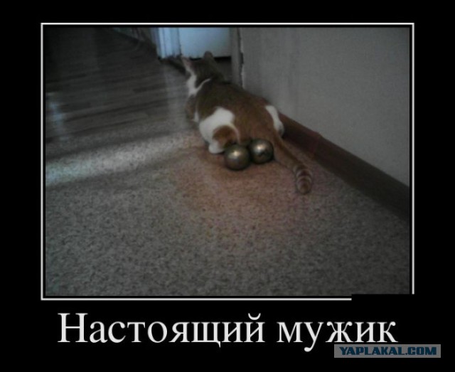 Картинки в черных рамках