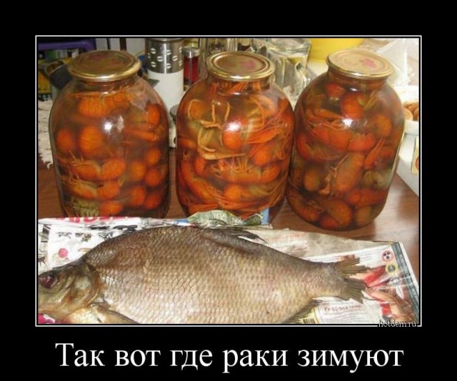 Знаешь где раки зимуют? Нет? Пошли покажу...