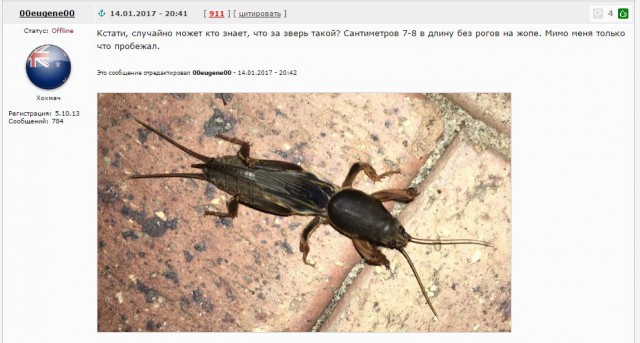 В Индию больше ни ногой