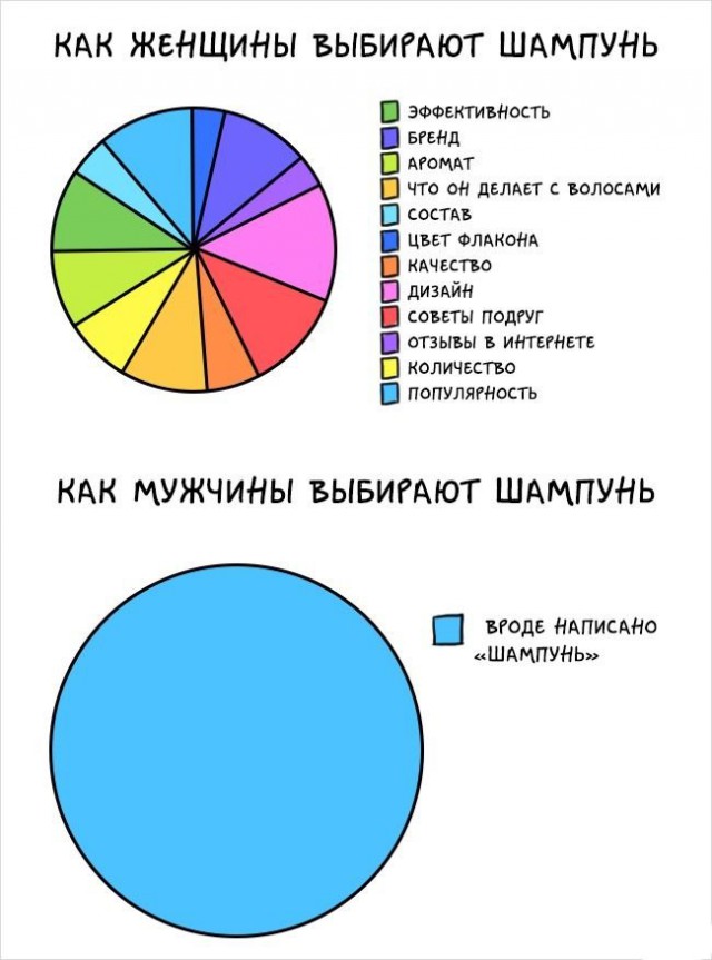 Мужчины vs. женщины: главные отличия