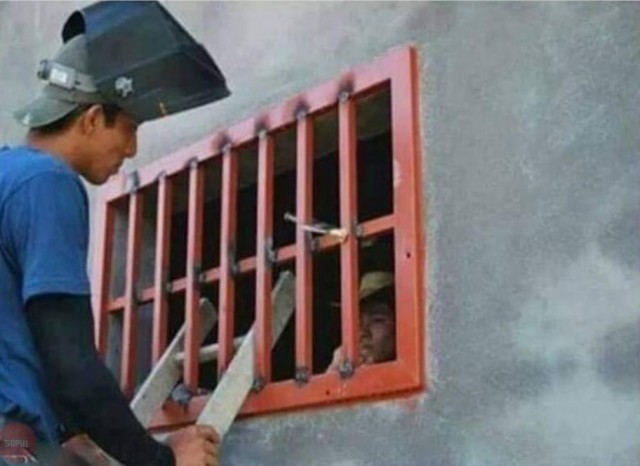 Подборка безудержного веселья