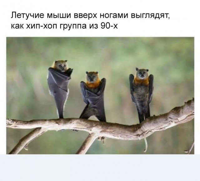 Подборка интересных и веселых картинок