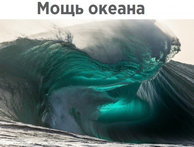 100 картинок для поднятия настроения!