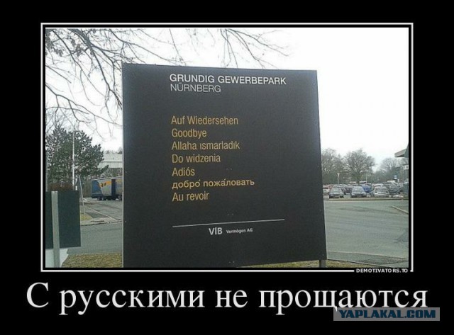 150 картинок для поднятия настроения!