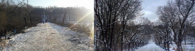 Обрубки - это "красиво"? Пилят во всех смыслах...