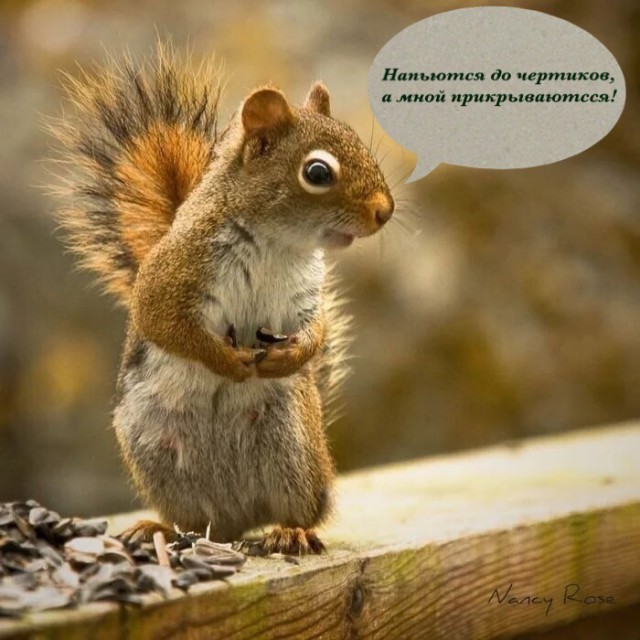 Белая горячка и сущности
