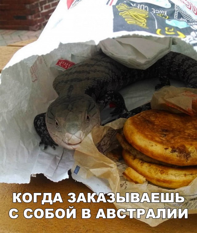 Нестандартный юмор