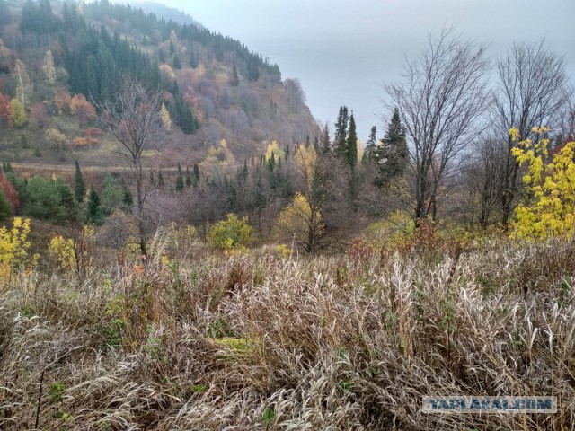 Подборка интересных и веселых картинок 31.10.18
