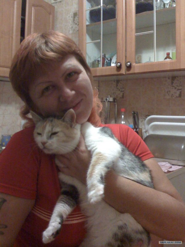 Котовторник на 26.06.12