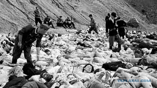 Росгвардия захотела узнать, что о ней пишут в соцсетях
