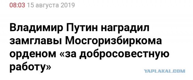 Прямой репортаж ЯПовца с места вынужденной посадки А321 "Уральских авиалиний" в Подмосковье