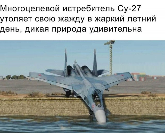 Заседание клуба аморалов объявляется открытым