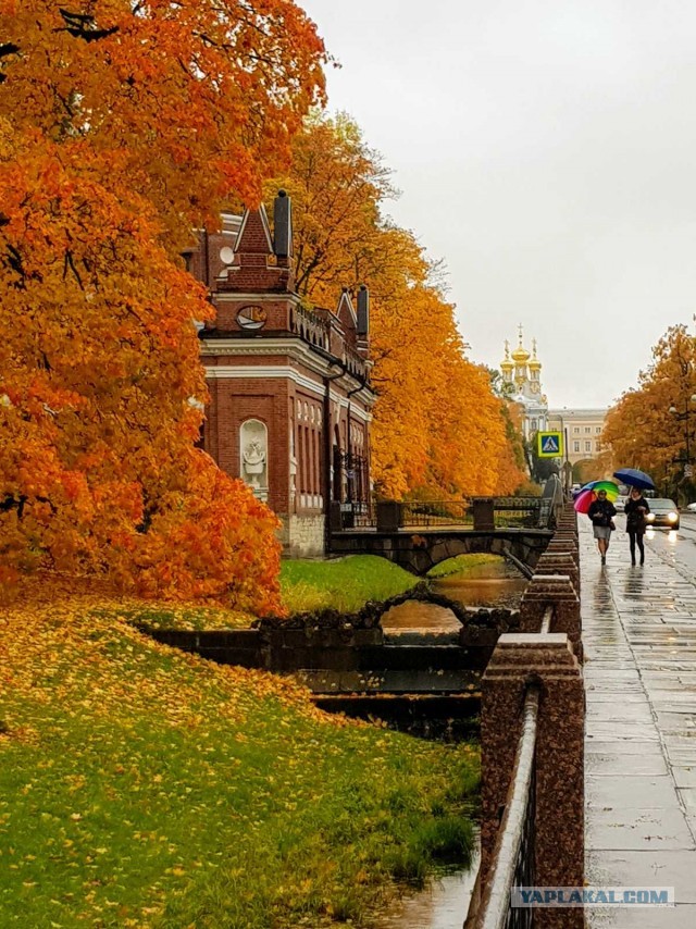 Сам себе фотограф