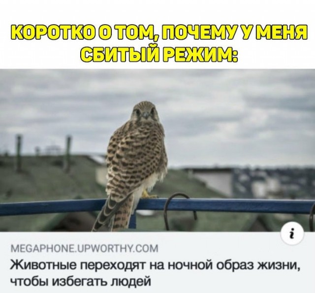 Немного картинок для настроения 06.12.19