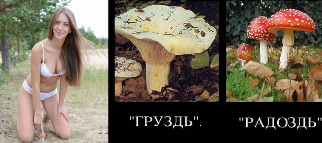 Фото симпатичных девушек из социальных сетей 07.12.19