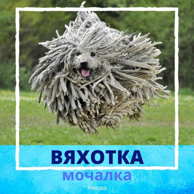 Немного белорусского языка