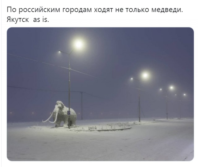 Юмор в картинках 22.11.2020