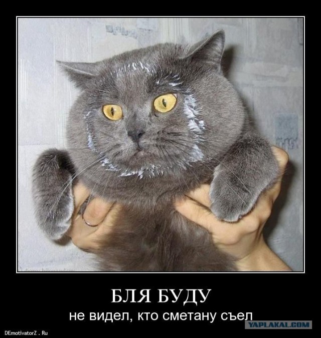 Спалился