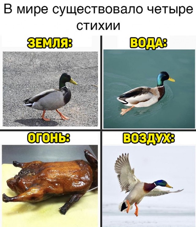 Весёлый полтишок 27.02