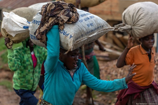 Уганда: самая настоящая Африка с гориллами и носорогами!