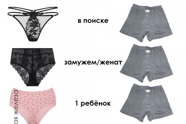 15398649.jpg
