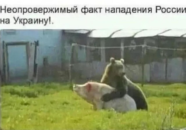 Маразм в картинках 27.04.2021