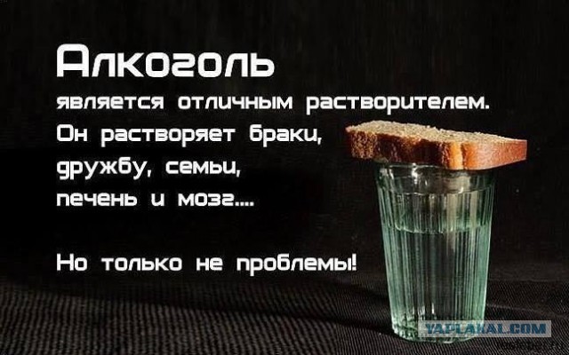 Исследование: ежедневное, но умеренное употребление алкоголя снижает вероятность смерти от сердечно-сосудистых заболеваний